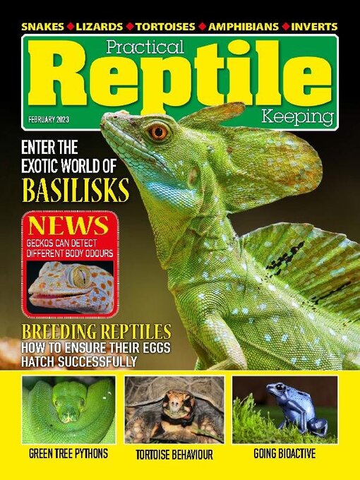 Title details for Practical Reptile Keeping by David Alderton - Available